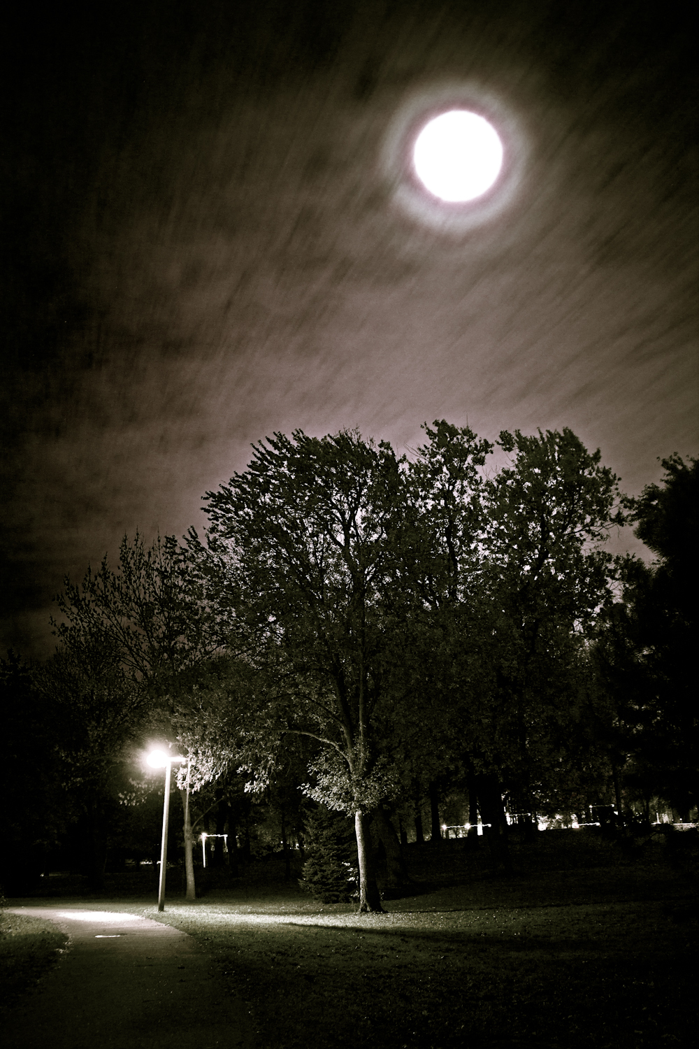 Night Moon
