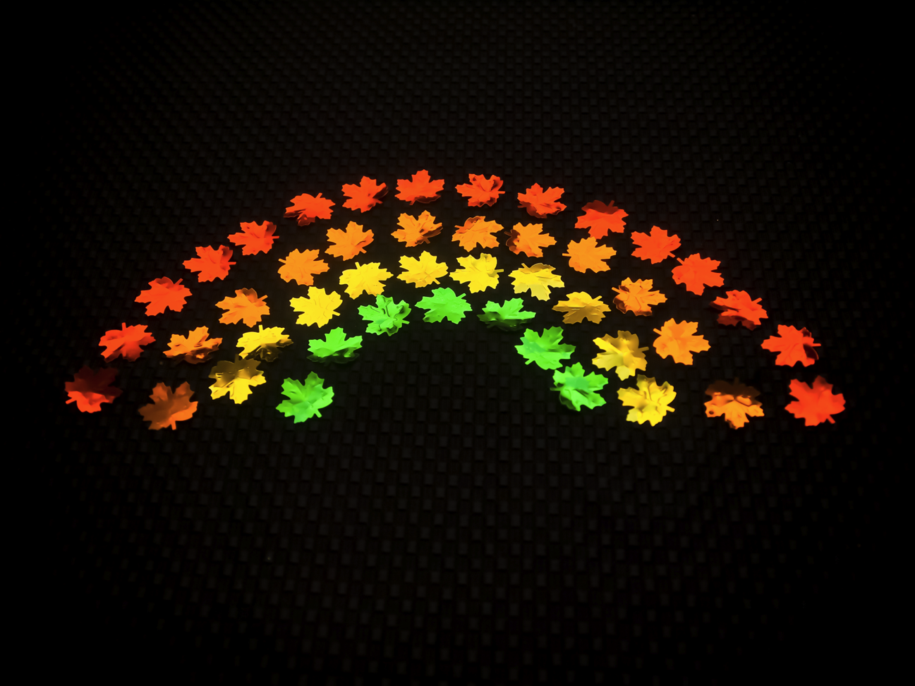 Fall Rainbow
