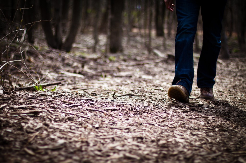 A Stranger Approaching