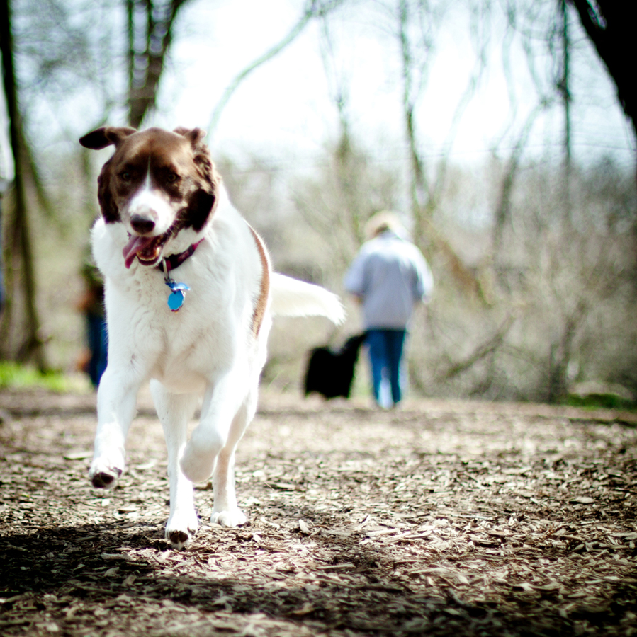 GiddyFrolicking