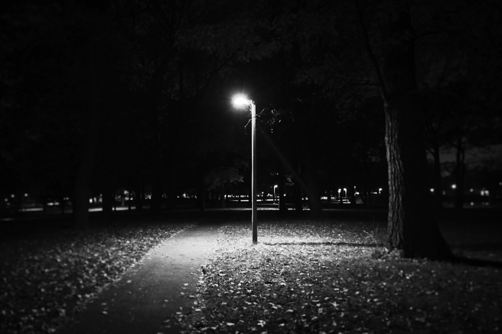 Night Light